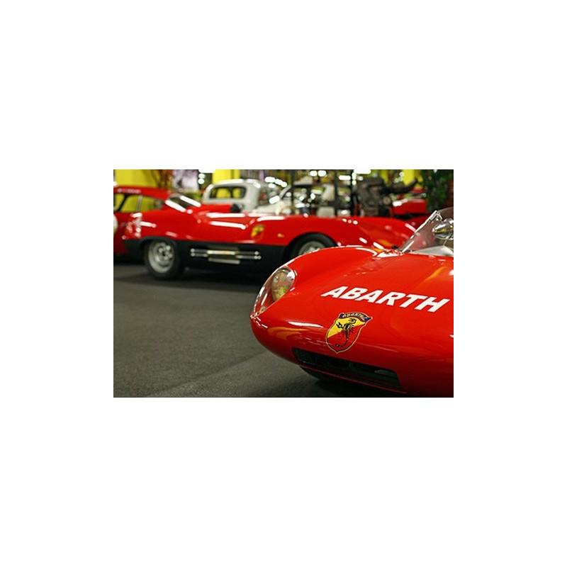 1007 polo ABARTH SQUADRA CORSE ITALIA Premium Quality