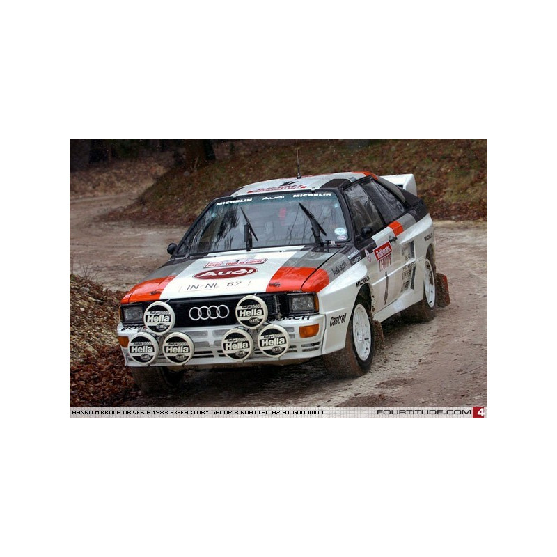 1196 Polo AUDI SPORT A2 GR B Premium Quality