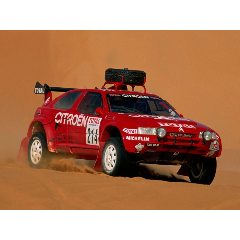 1898 polo CITROEN SPORT  Premium Quality